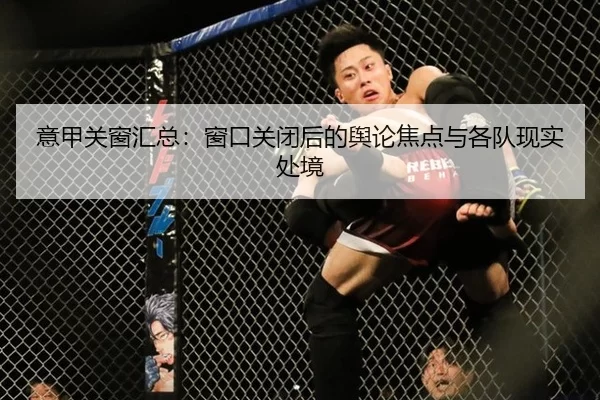意甲关窗汇总:窗口关闭后的舆论焦点与各队现实处境